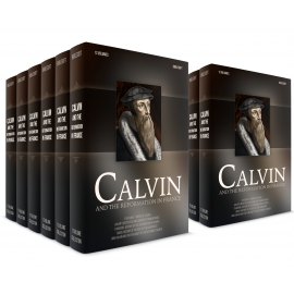 Calvin and the Reformation in France