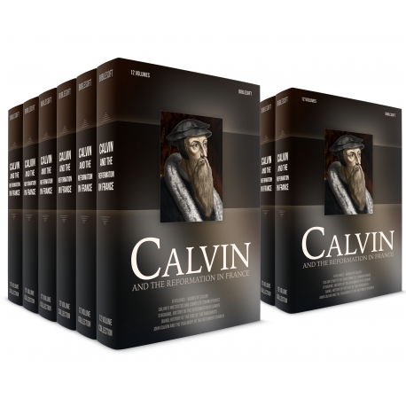 Calvin and the Reformation in France 