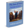 The Son of Man Sayings of Jesus: Biblesoft Study Series