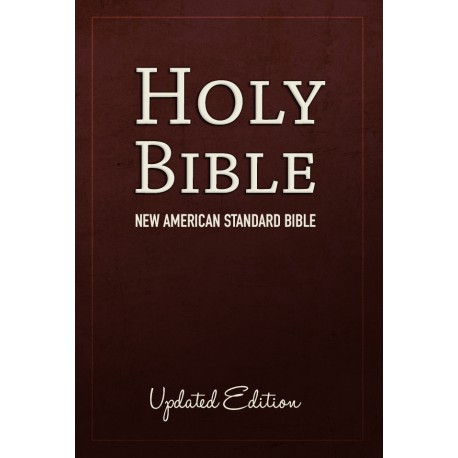 american standard version audio bible download