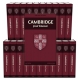 The Cambridge Greek Testament - 21 Volumes